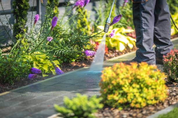 Trusted Cairo, IL Pressure Washing Services Experts