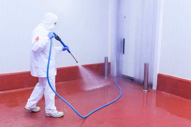 Best Warehouse Cleaning  in Cairo, IL