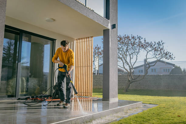 Best House Exterior Washing  in Cairo, IL