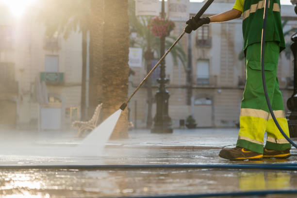 Best Sidewalk and Walkway Cleaning  in Cairo, IL